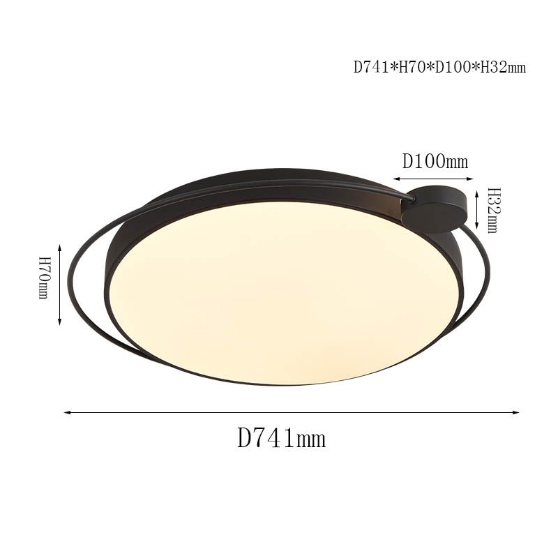 Circle Metal Flush Ceiling-mounted Light
