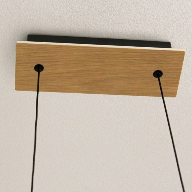 LED PENDANT LAMP REVER