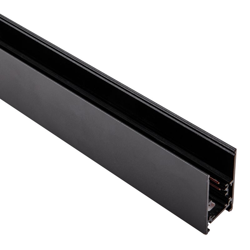Precise Magnetic Track Line