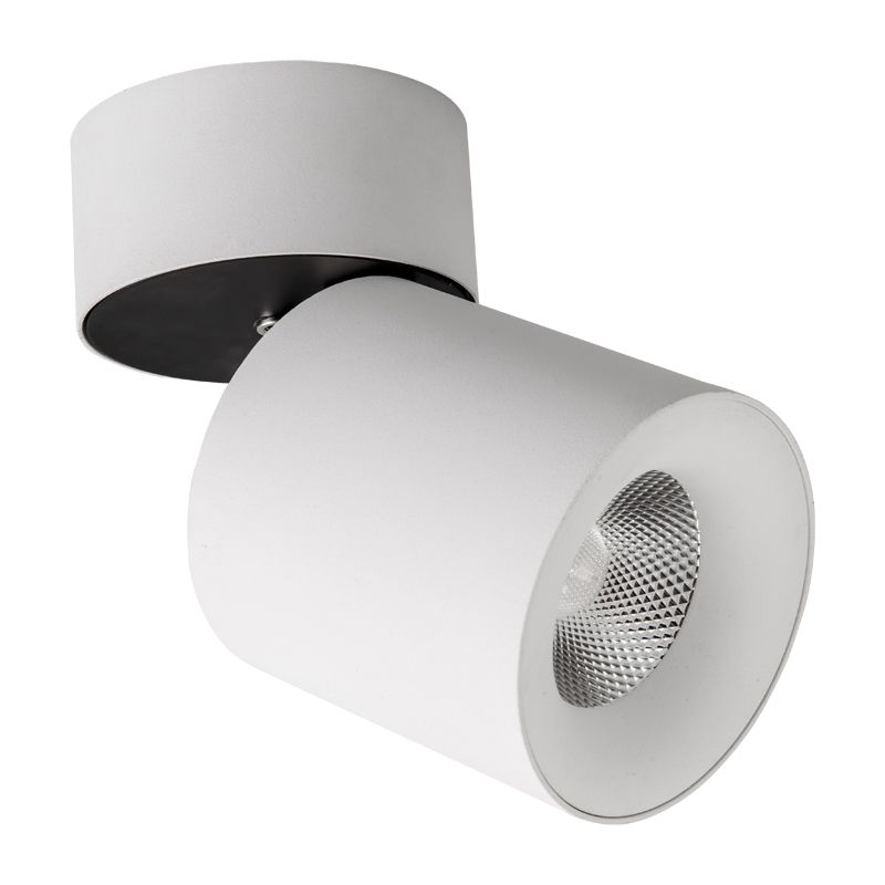 Precise Modular S044 Ceiling-mounted Light