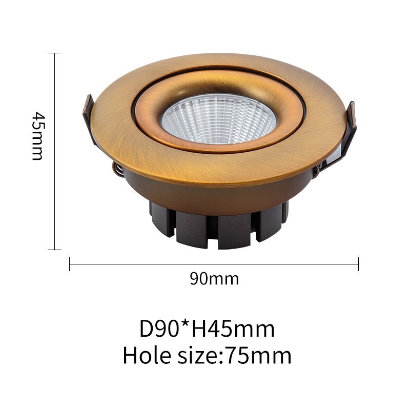 Precise Circular COB Recessed Light (PL-QY-SD606 )