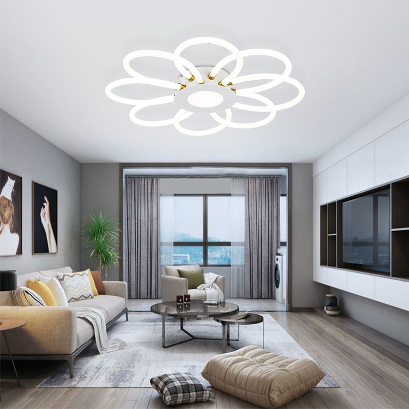ID Ceiling Mounted Lights