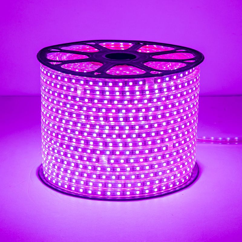 Focale LX80 RGB Stripe Light FOCALE  (100 METRES PER CARTON)