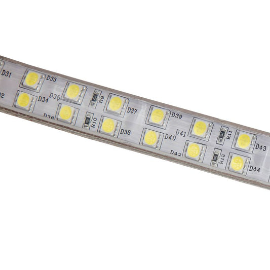 Focale LX80 Warm White Stripe Light FOCALE  (100 METRES PER CARTON)