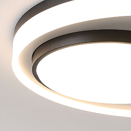 Lunar Eclipse Light