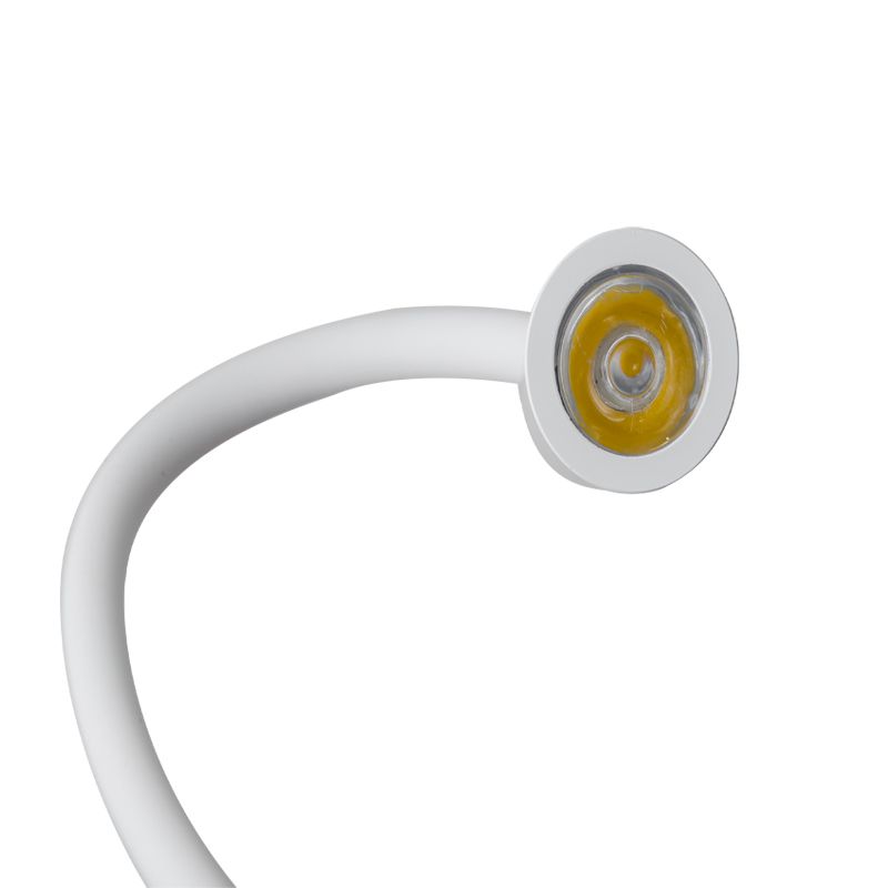 Precise Agese Reading Wall Lamp