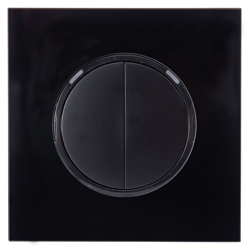 Precise L88 Two Gang Switch